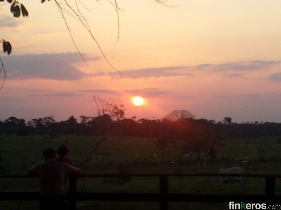 Magnifica finca ganadera - Finca en San José del Guaviare, Guaviare